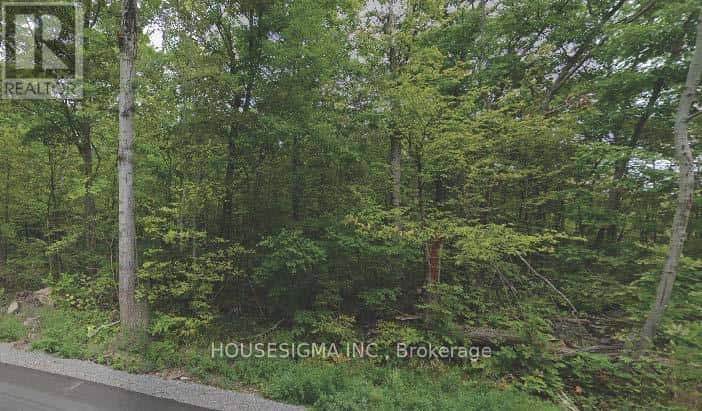 PT LT 8 MARBLE POINT ROAD — Marmora and Lake (Marmora Ward), Ontario - Photo 2 of 8