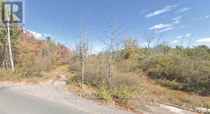 PT LT 8 MARBLE POINT ROAD — Marmora and Lake (Marmora Ward), Ontario - Photo 3 of 8