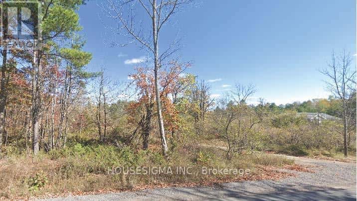 PT LT 8 MARBLE POINT ROAD — Marmora and Lake (Marmora Ward), Ontario - Photo 5 of 8