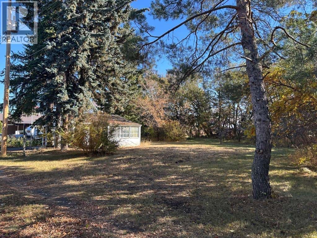 4820 49 — Amisk, Alberta - Photo 3 of 8