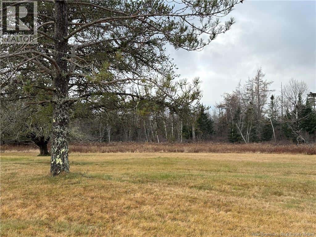 177 Manor Rd — St George, New Brunswick - Photo 3 of 17