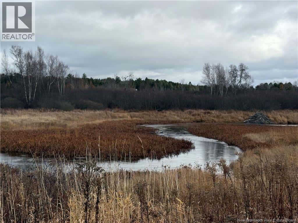 177 Manor Rd — St George, New Brunswick - Photo 4 of 17