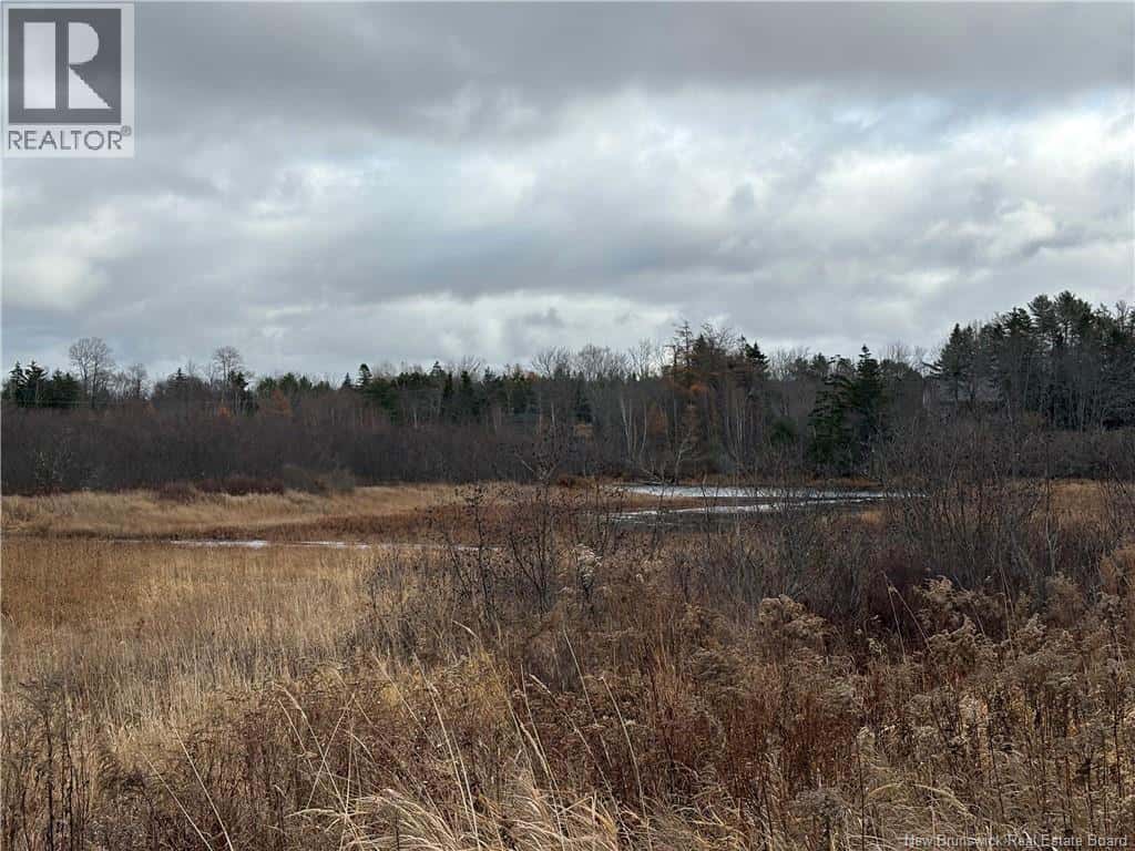 177 Manor Rd — St George, New Brunswick - Photo 5 of 17