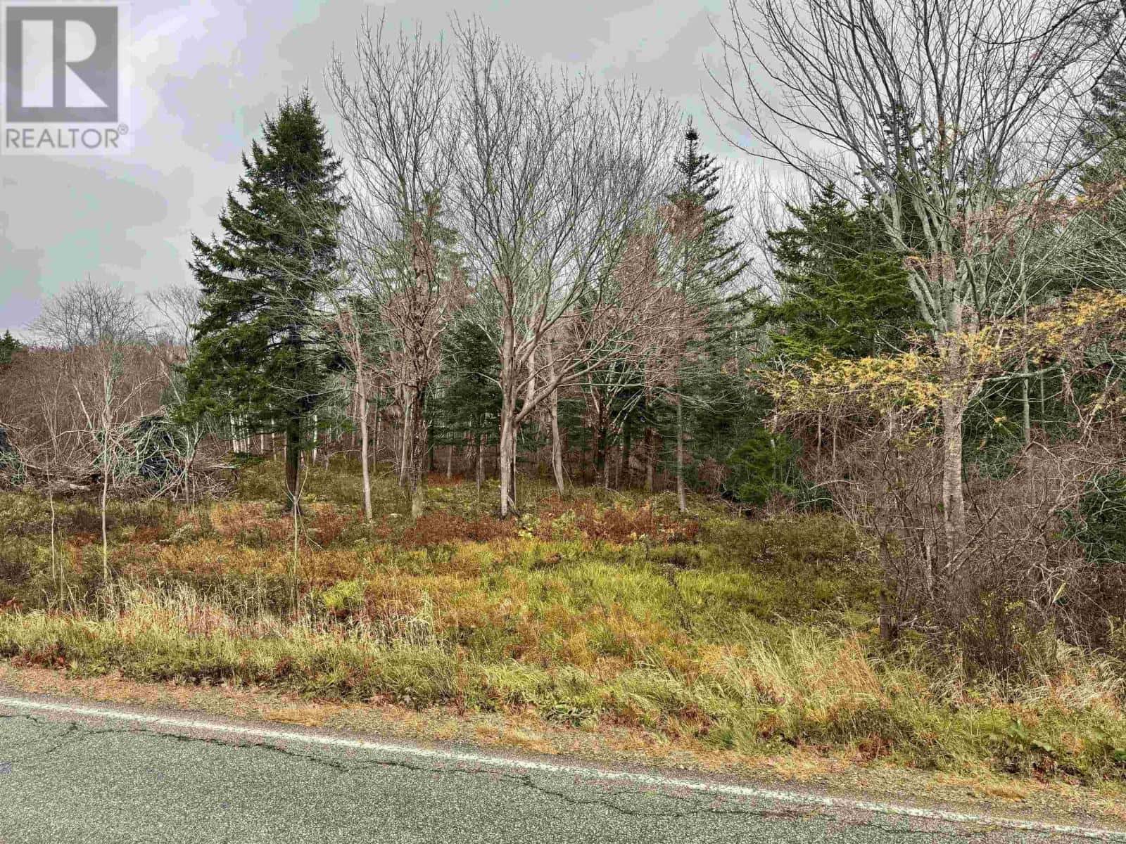 NO 340 Highway — Weymouth, Nova Scotia - Photo 2 of 8