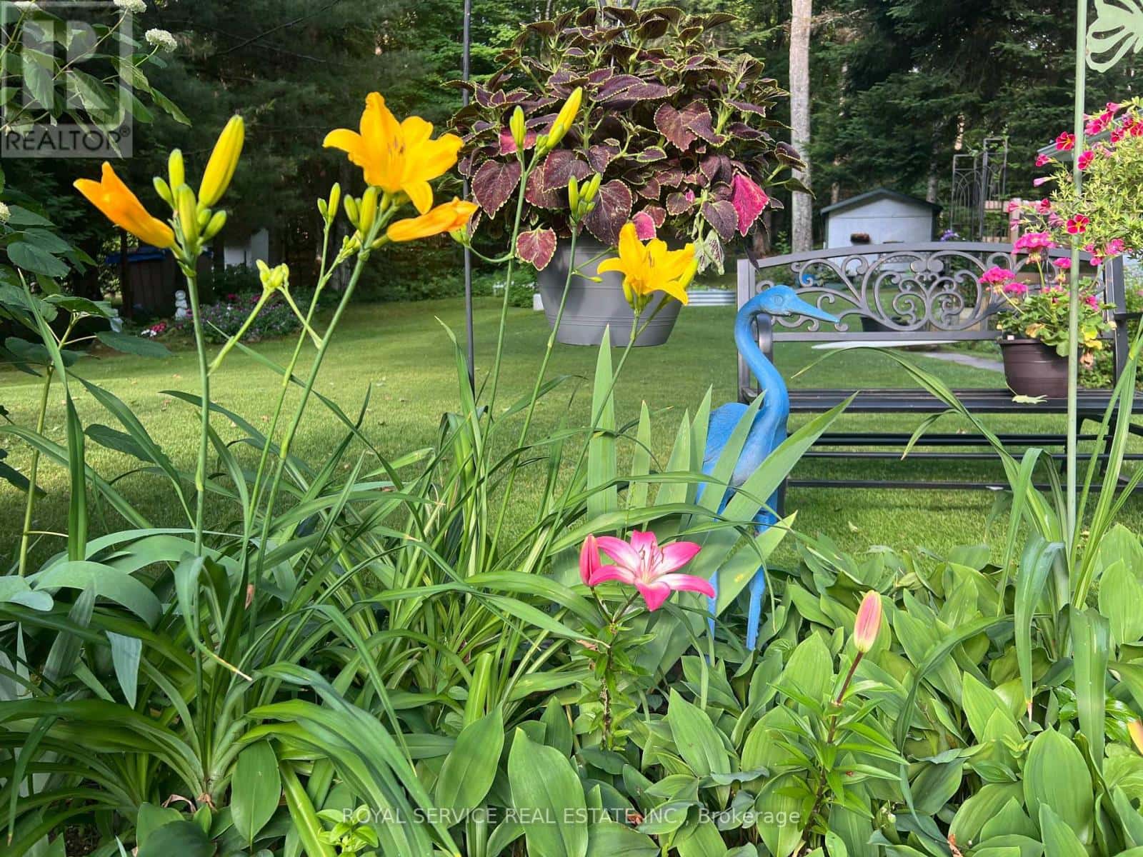 1039 GRACE RIVER ROAD — Highlands East (Monmouth), Ontario - Photo 4 of 45