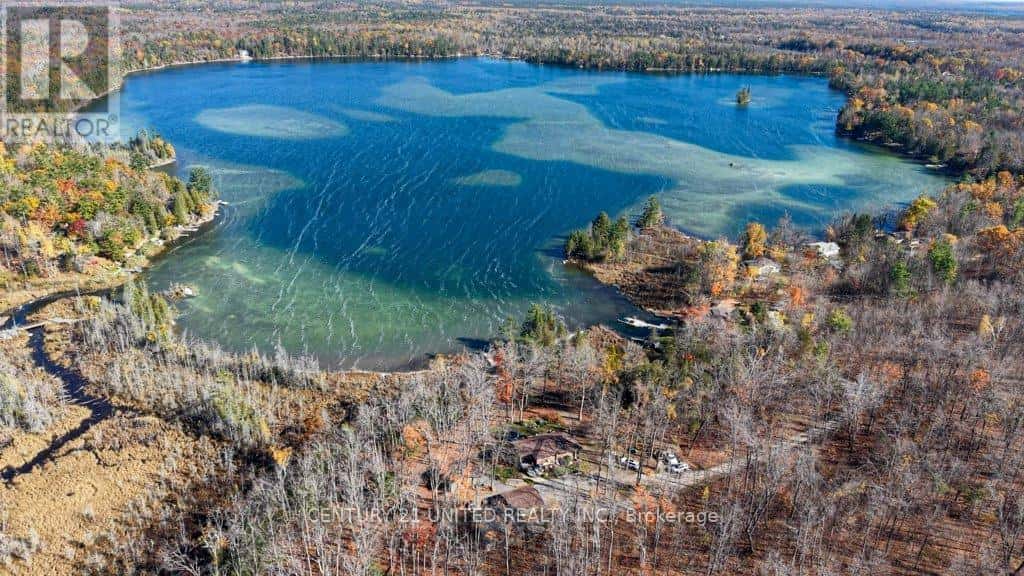 241 BUTLER DRIVE — North Kawartha, Ontario - Photo 3 of 50