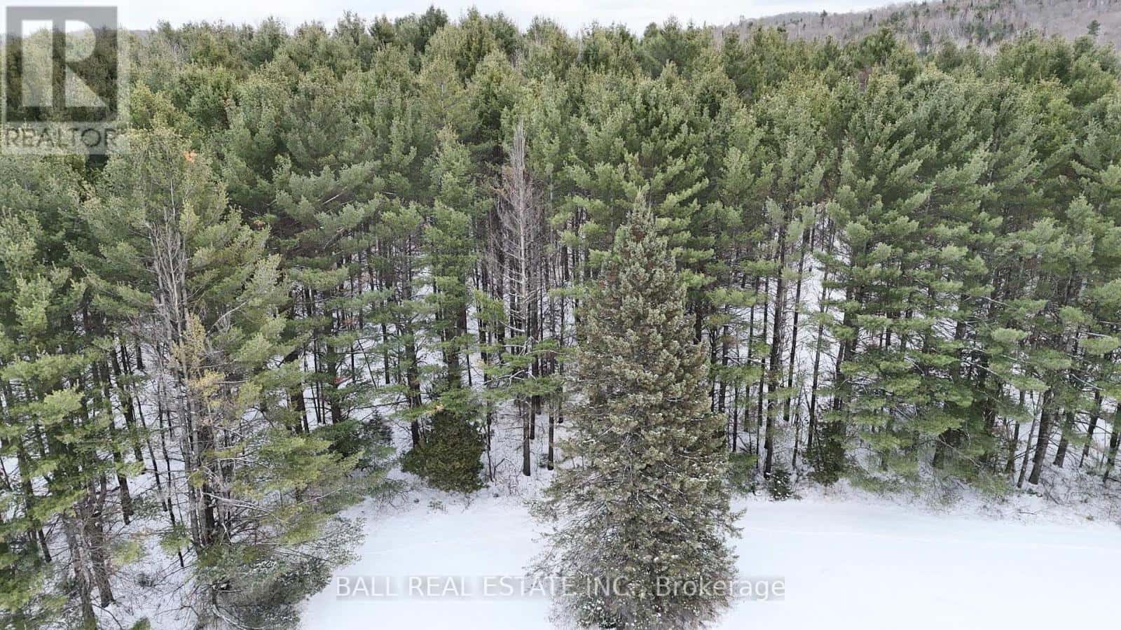 0 HIGHWAY 62 S — Bancroft (Dungannon Ward), Ontario - Photo 2 of 5