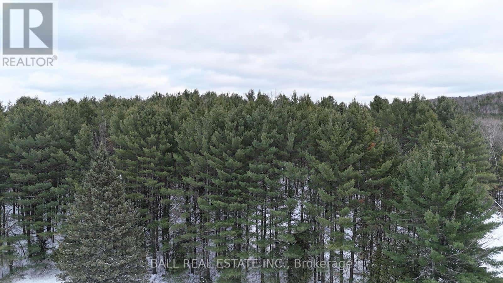 0 HIGHWAY 62 S — Bancroft (Dungannon Ward), Ontario - Photo 4 of 5