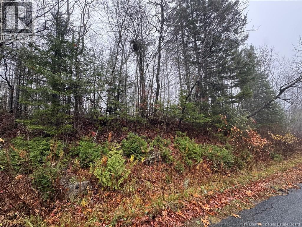 St. David Road — Oak Bay, New Brunswick - Main photo