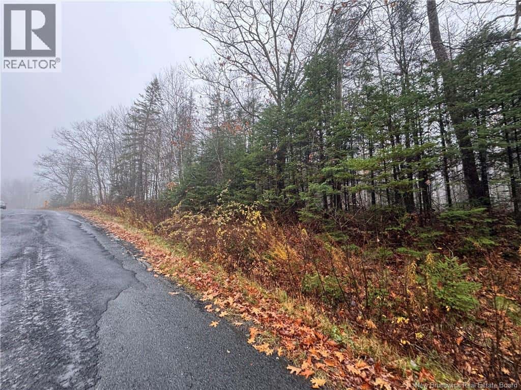 St. David Road — Oak Bay, New Brunswick - Photo 2 of 8