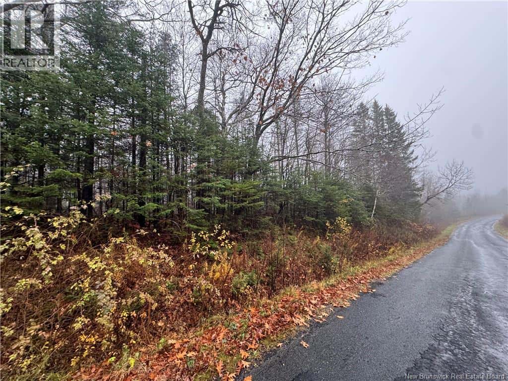 St. David Road — Oak Bay, New Brunswick - Photo 3 of 8