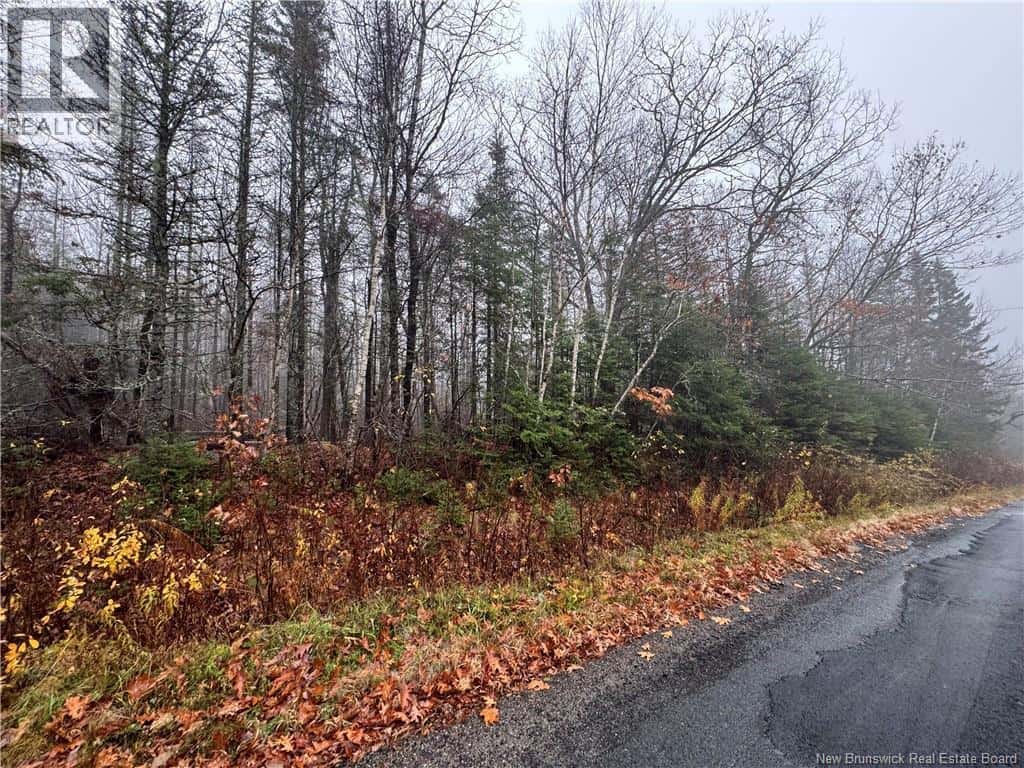 St. David Road — Oak Bay, New Brunswick - Photo 4 of 8