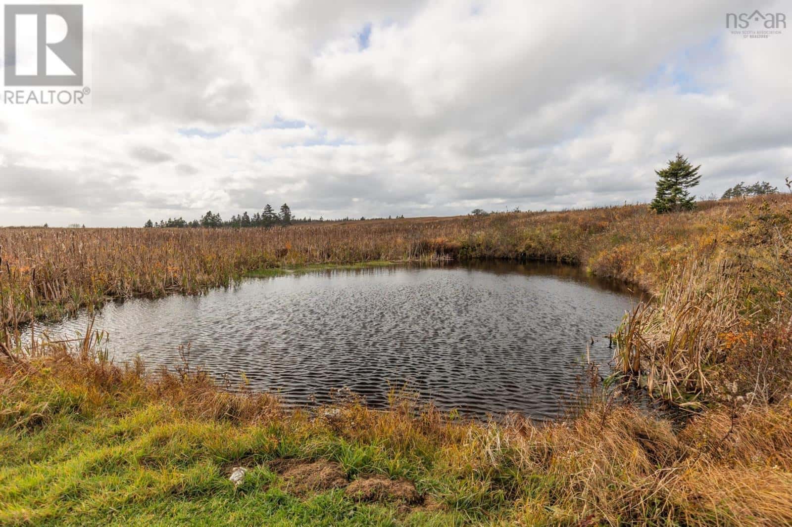 5347 Highway 1 — Salmon River, Nova Scotia - Photo 3 of 49