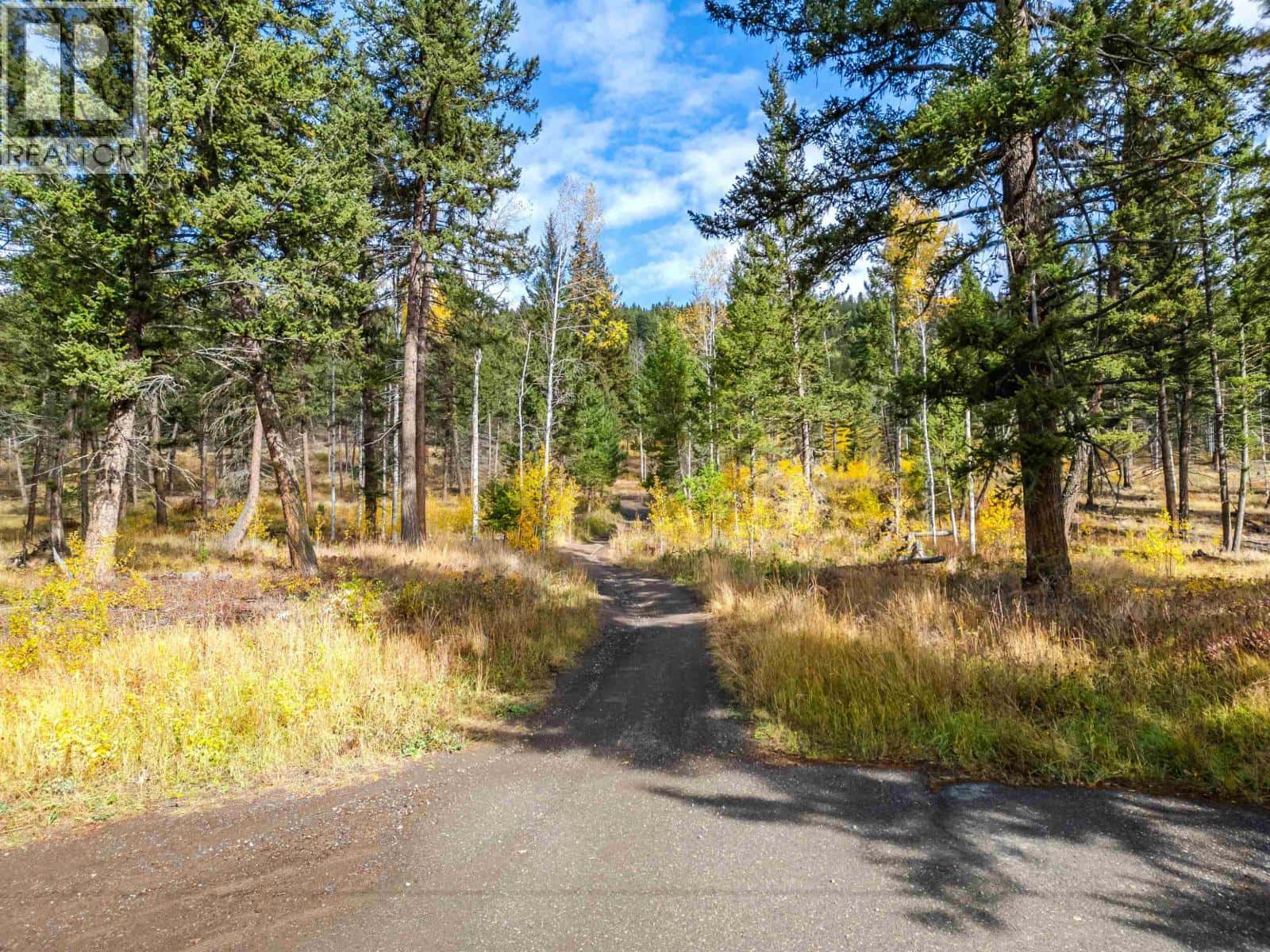 6395 YOUNG ROAD — Horse Lake, British Columbia - Photo 5 of 40