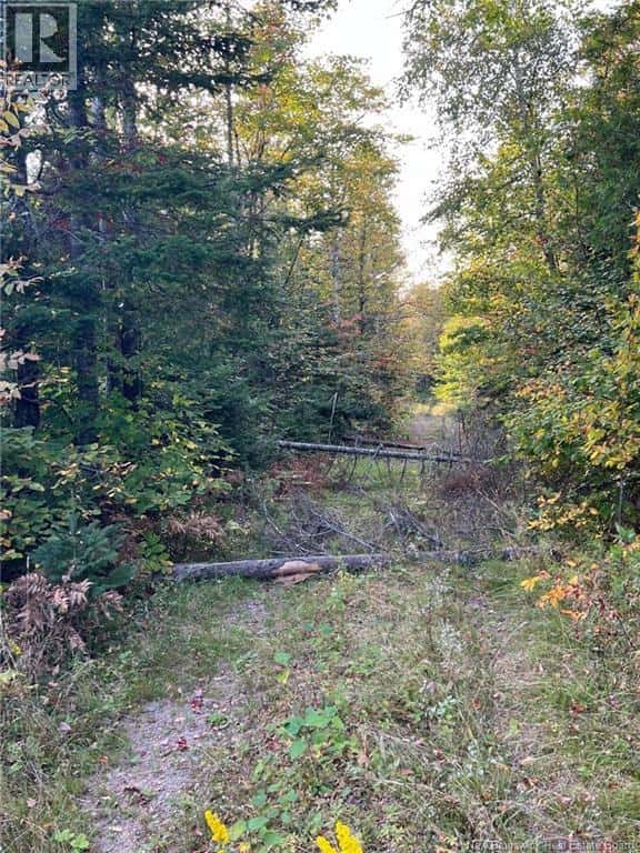 Lot 24-2 Rte 3 — Harvey, New Brunswick - Photo 4 of 9
