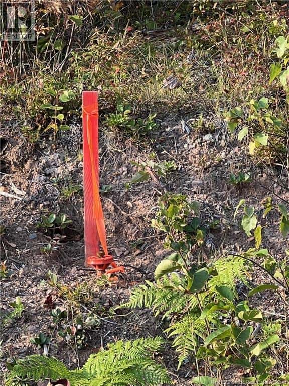 Lot 24-2 Rte 3 — Harvey, New Brunswick - Photo 5 of 9