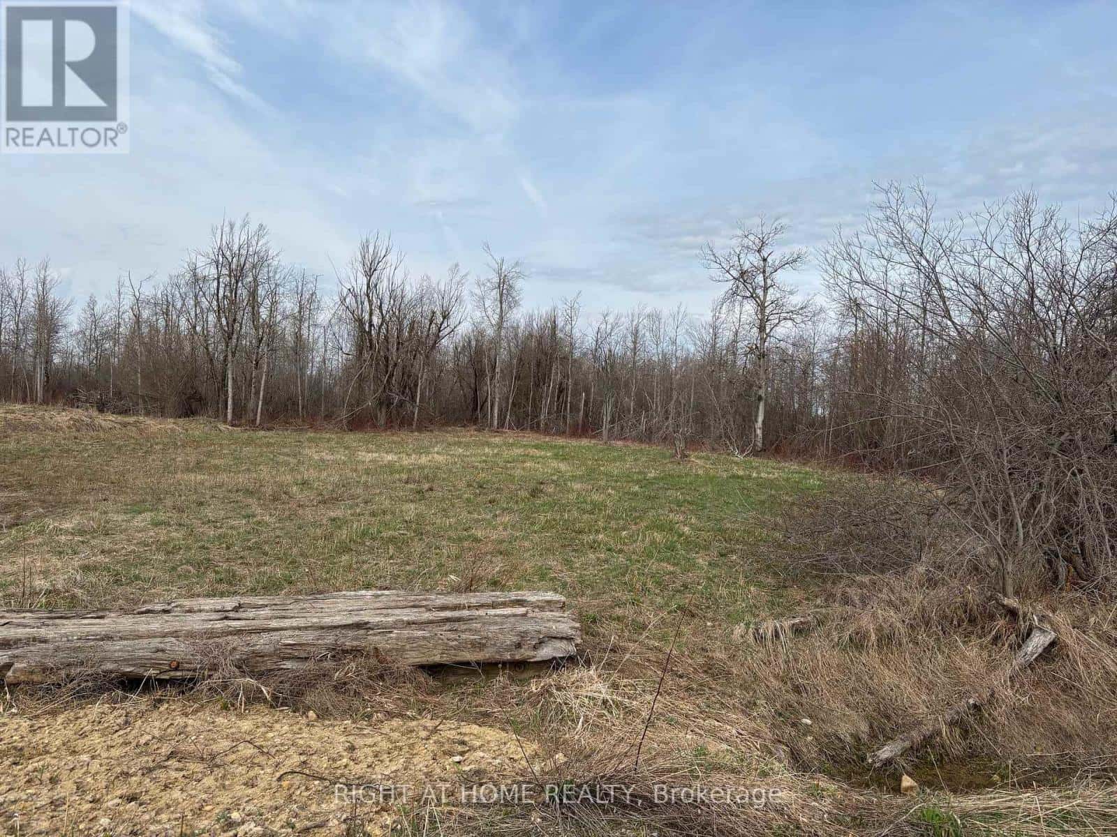 CONC 2 5TH LINE — Melancthon, Ontario - Photo 2 of 4