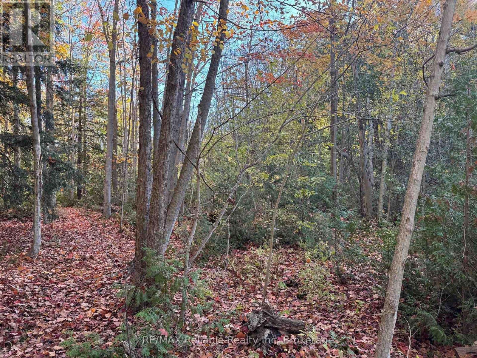 28 GEORGE STREET — Bluewater (Bayfield), Ontario - Photo 3 of 5