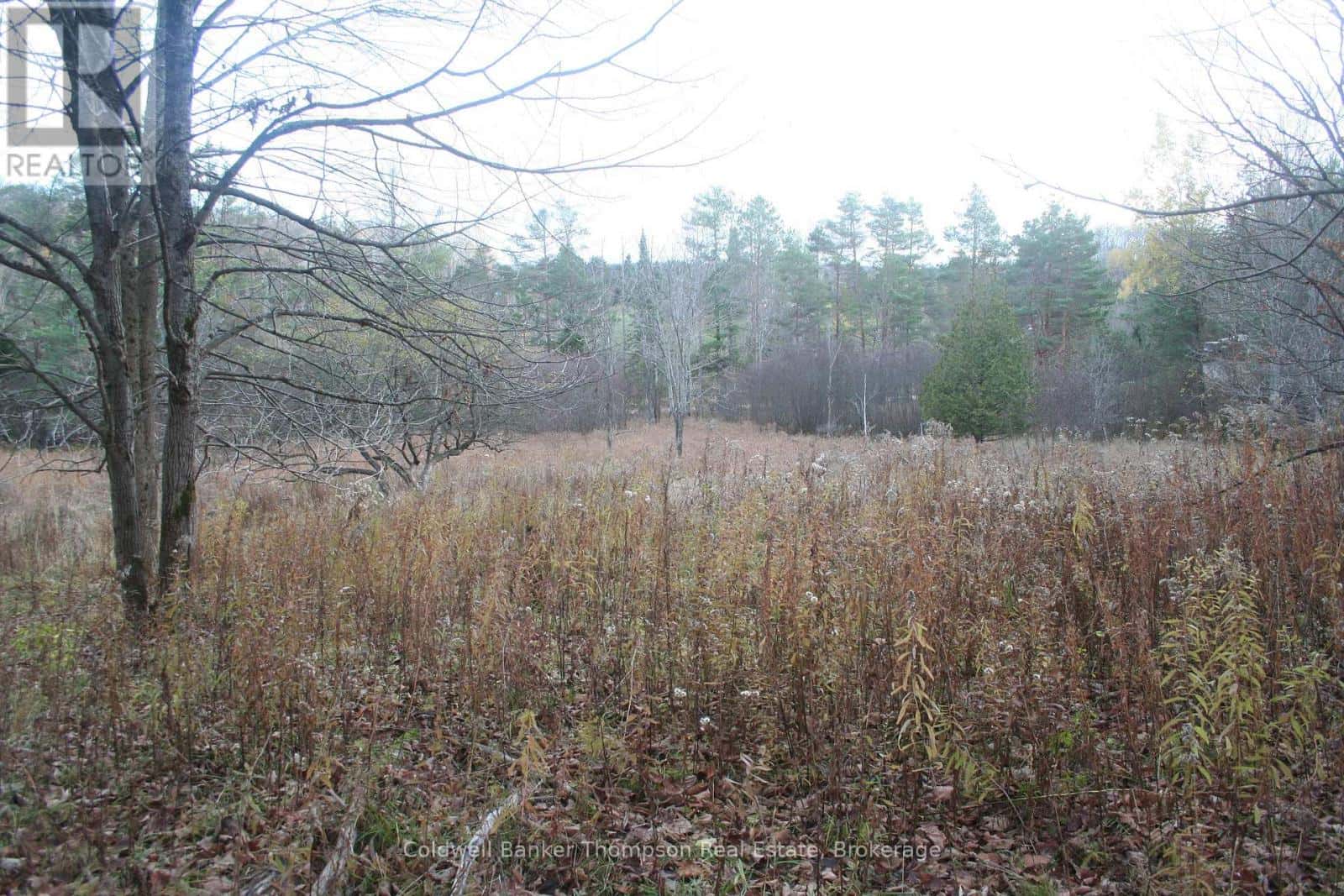 200 MICA MINE ROAD — Huntsville (Brunel), Ontario - Photo 5 of 18