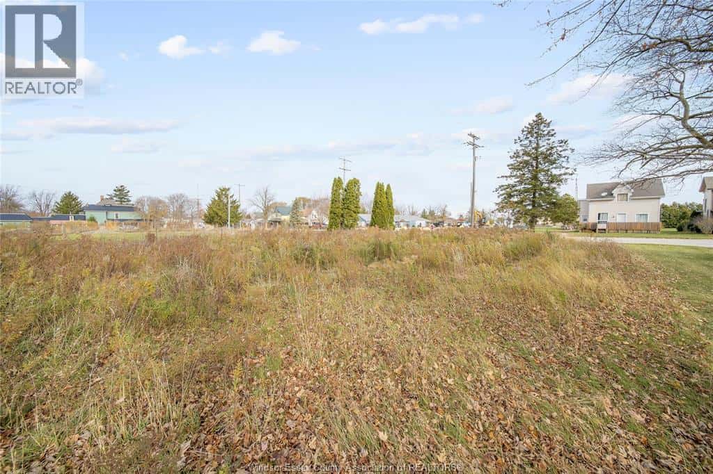 123 ERIE ST. S. — Merlin, Ontario - Photo 5 of 14