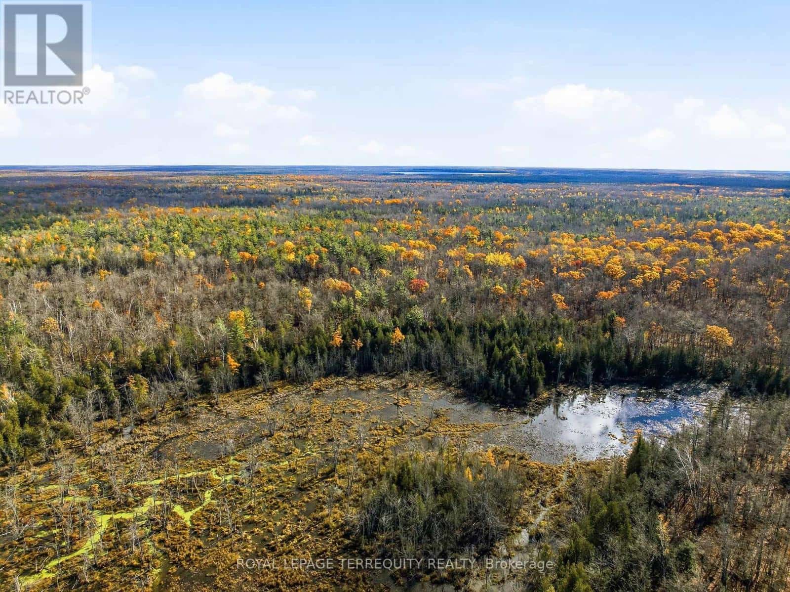 0 CON 10 PT LOT 29 PT — Havelock-Belmont-Methuen (Belmont-Methuen), Ontario - Photo 2 of 12