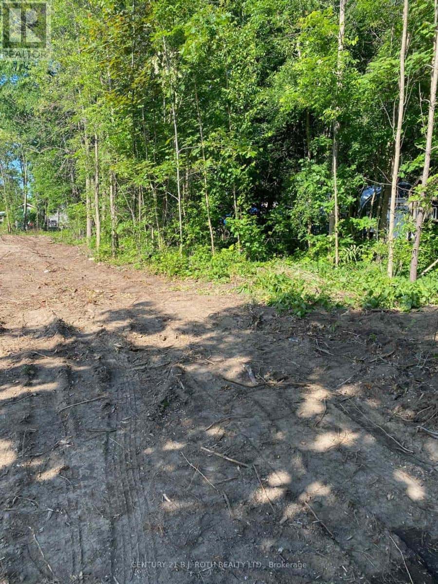 3365 ARMAND AVENUE — Severn (Washago), Ontario - Photo 4 of 4