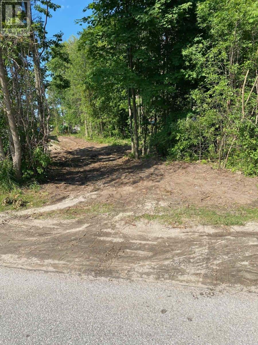 3365 ARMAND AVENUE — Severn (Washago), Ontario - Photo 2 of 4