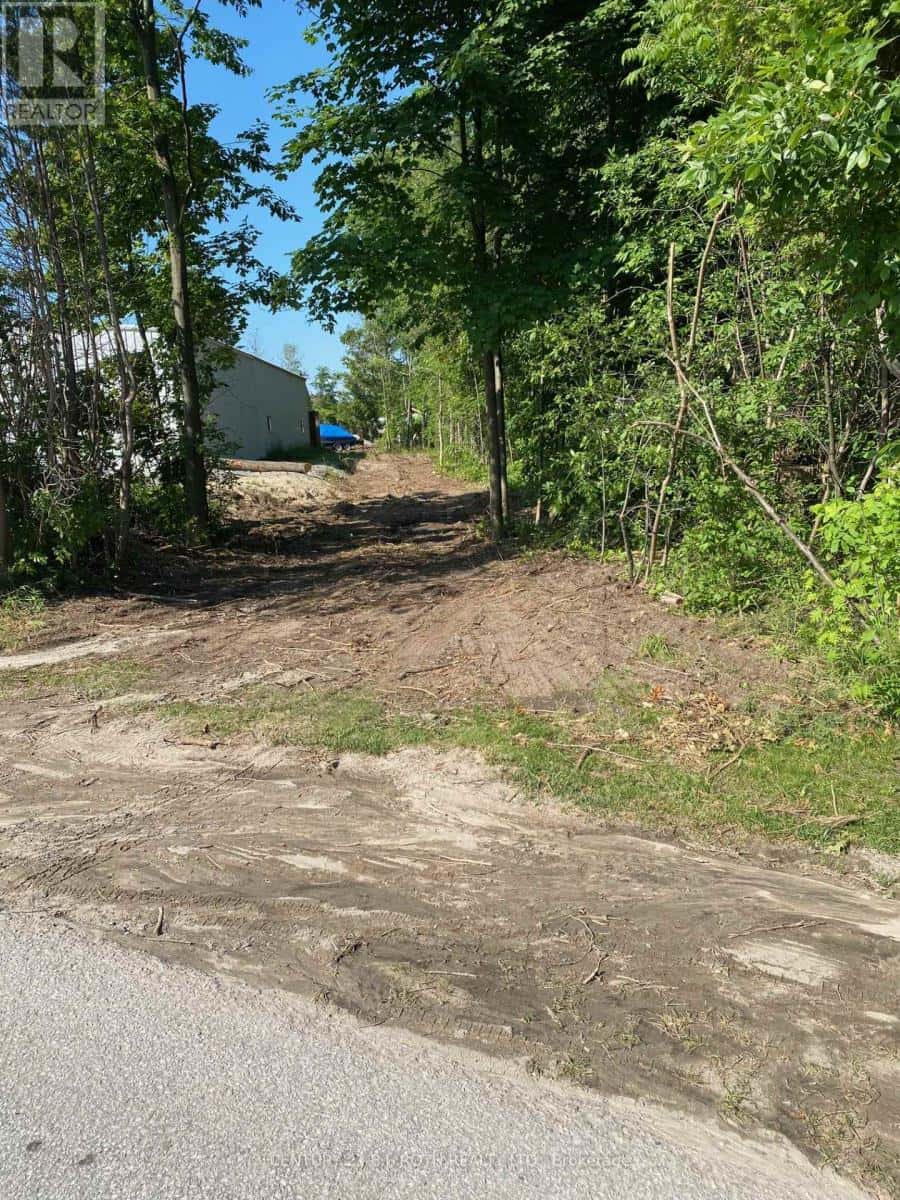 3365 ARMAND AVENUE — Severn (Washago), Ontario - Photo 3 of 4