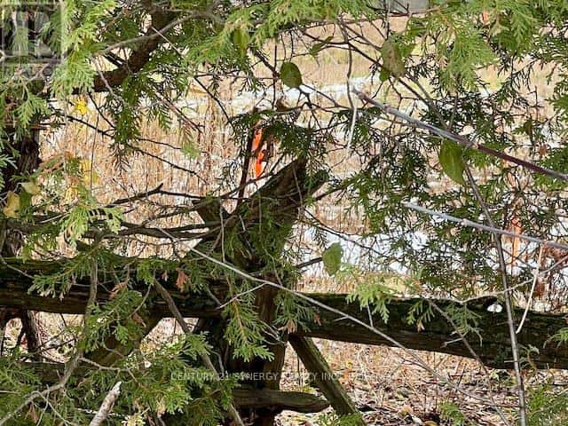 LOT #1 - 000 ARMSTRONG ROAD — Drummond/North Elmsley, Ontario - Photo 5 of 12