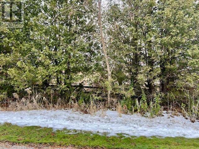 LOT #1 - 000 ARMSTRONG ROAD — Drummond/North Elmsley, Ontario - Photo 3 of 12