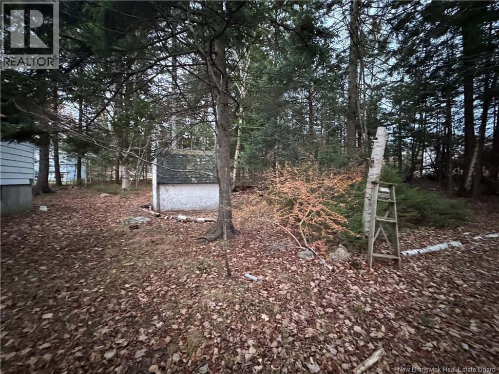 6 Wynn Street — Rothesay, New Brunswick - Photo 3 of 20