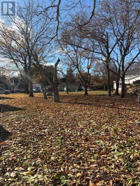 283 RIDOUT STREET — West Elgin (Rodney), Ontario - Photo 2 of 3