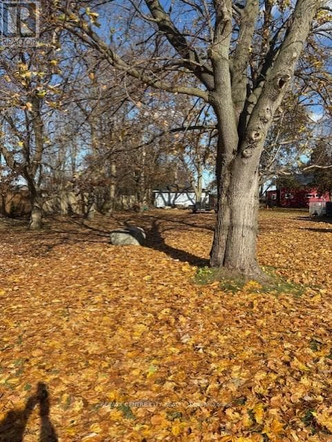 283 RIDOUT STREET — West Elgin (Rodney), Ontario - Main photo