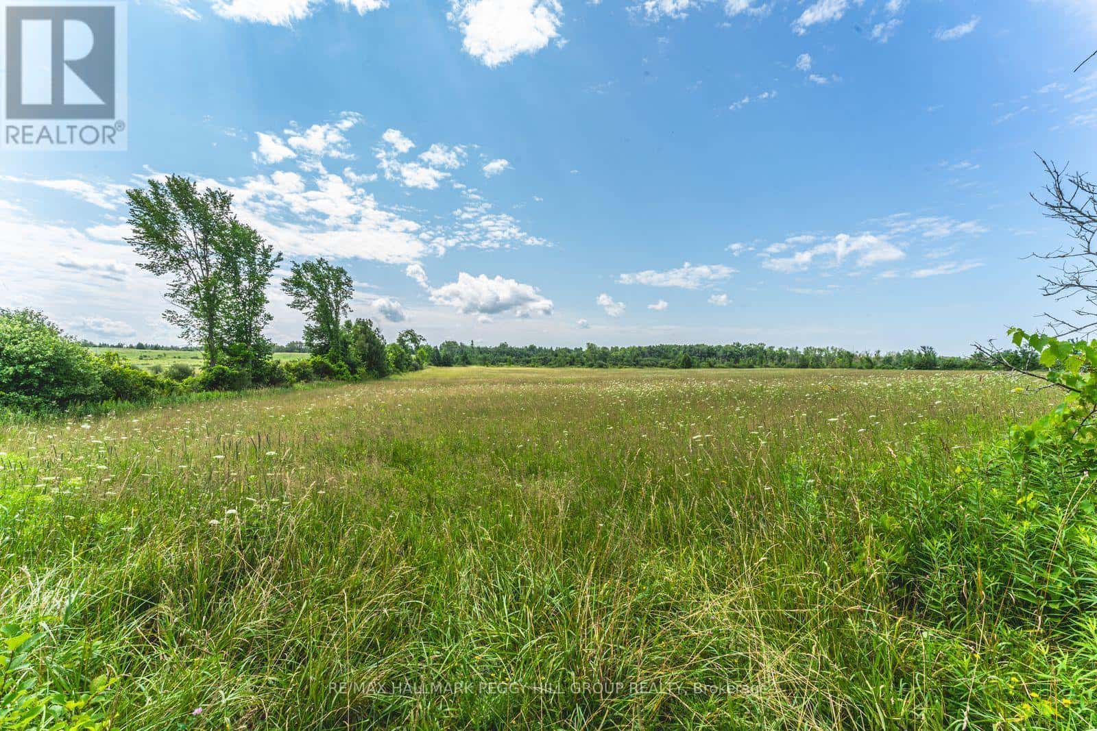 LOT 5 CONCESSION 5 — Kawartha Lakes (Carden), Ontario - Photo 5 of 8