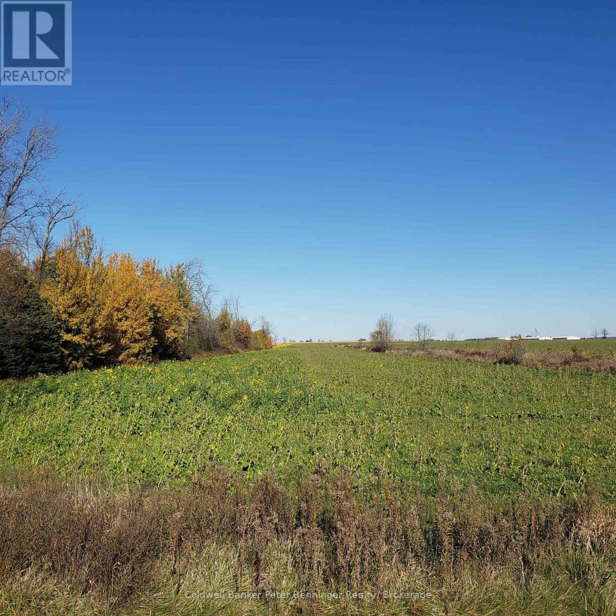 3048 BRUCE RD 86 — Huron-Kinloss, Ontario - Photo 3 of 21