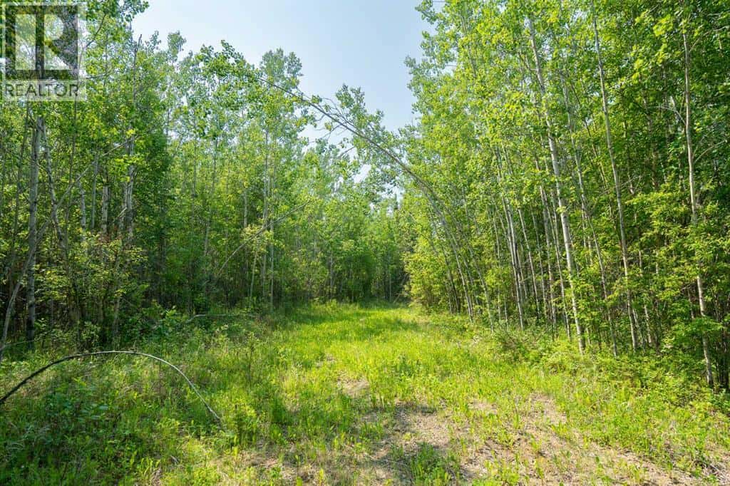 Lot 16 Estates of East Mountain — Rural Woodlands County, Alberta - Photo 3 of 9