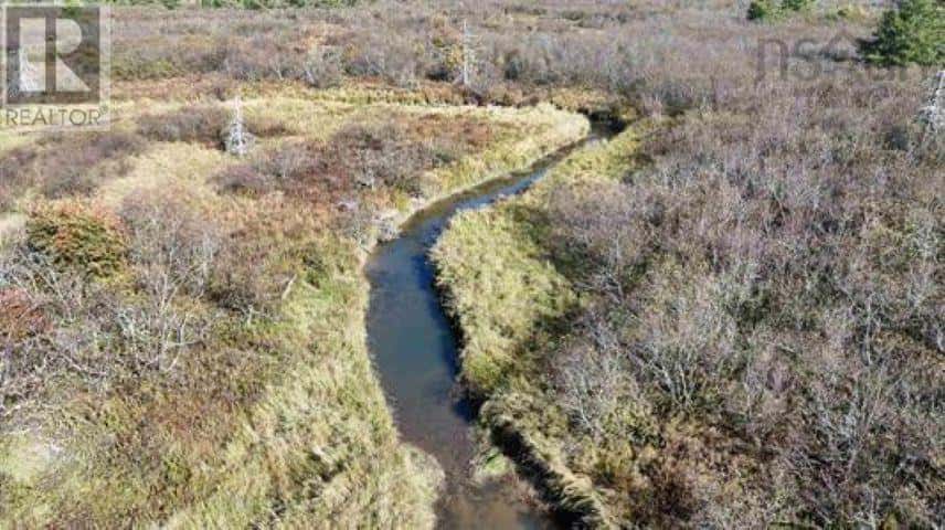 22 acres Dowling Road — Cleveland, Nova Scotia - Photo 5 of 12