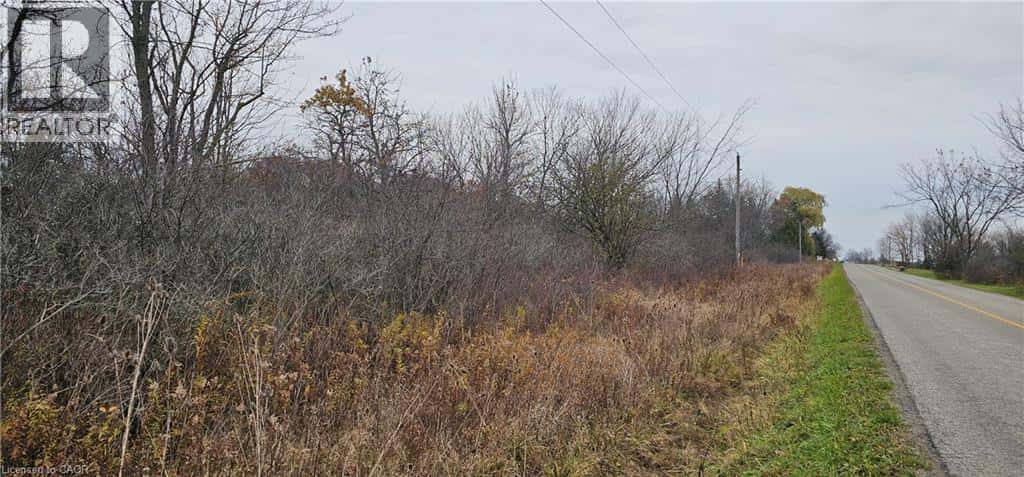 1083 INDIANA Road E — Haldimand County, Ontario - Photo 4 of 50