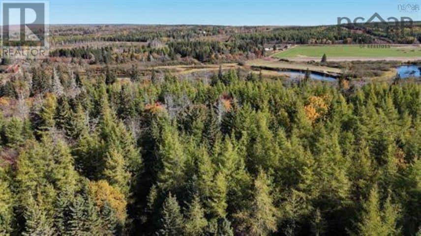 33 acres Dowling Road — Cleveland, Nova Scotia - Photo 5 of 6