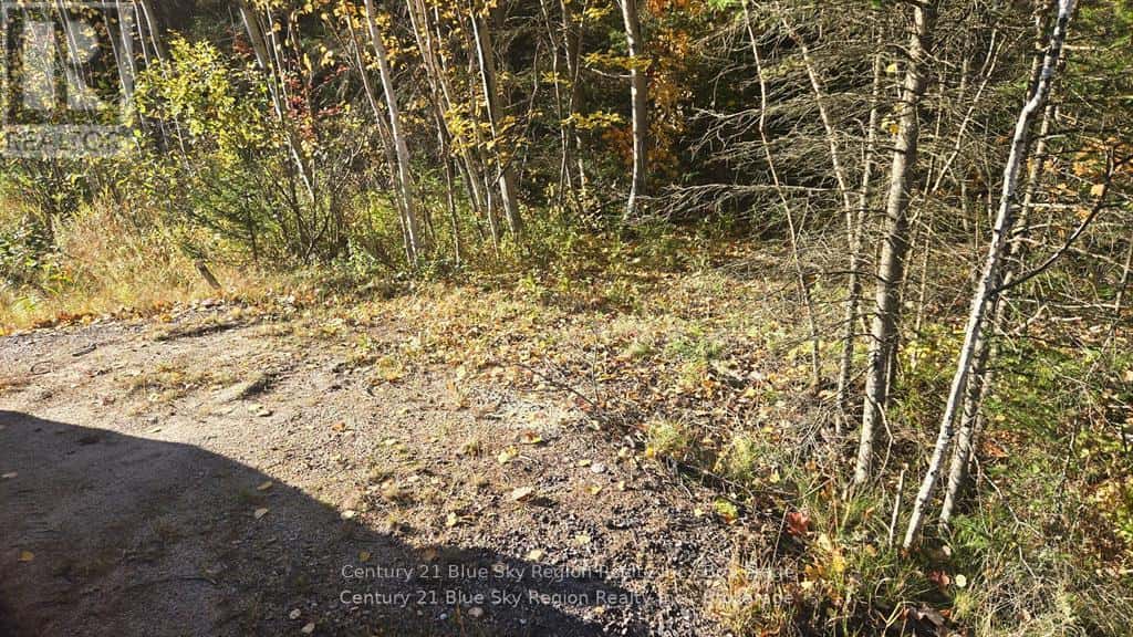 PT LT 6 CON 11 HIGHWAY 654 — Nipissing, Ontario - Photo 3 of 12