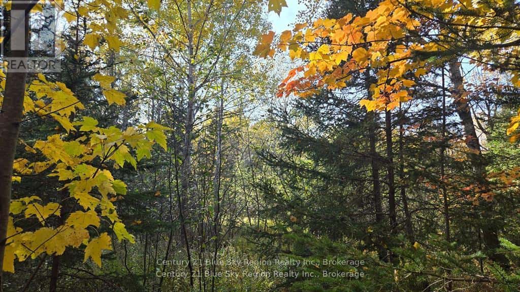 PT LT 6 CON 11 HIGHWAY 654 — Nipissing, Ontario - Photo 4 of 12