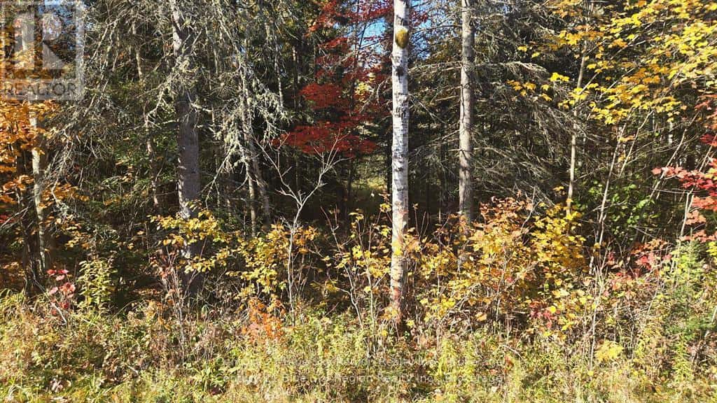 PT LT 6 CON 11 HIGHWAY 654 — Nipissing, Ontario - Photo 5 of 12