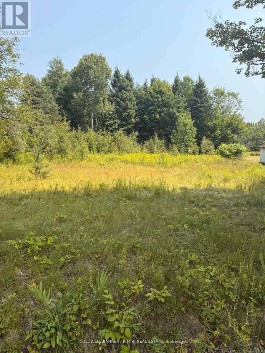 3995 BOULTER ROAD — Hastings Highlands (Wicklow Ward), Ontario - Photo 4 of 5