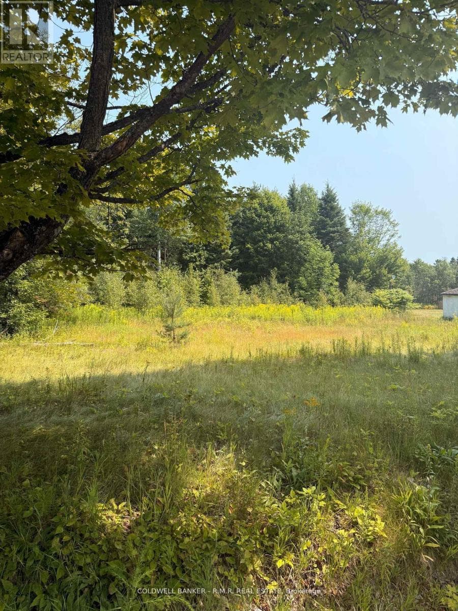 3995 BOULTER ROAD — Hastings Highlands (Wicklow Ward), Ontario - Main photo