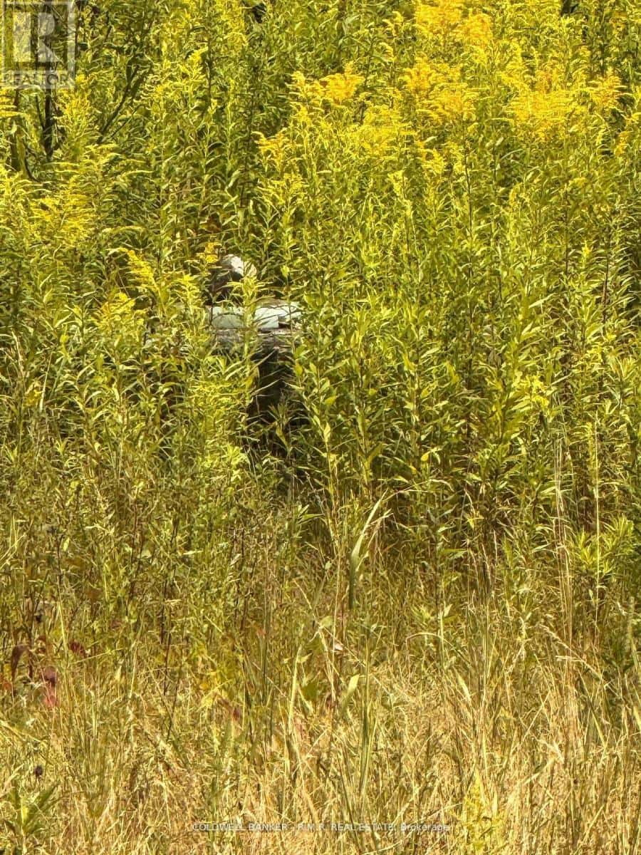 3995 BOULTER ROAD — Hastings Highlands (Wicklow Ward), Ontario - Photo 5 of 5