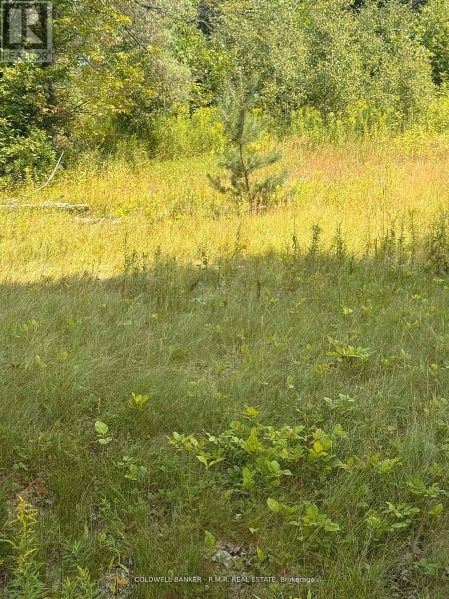 3995 BOULTER ROAD — Hastings Highlands (Wicklow Ward), Ontario - Photo 2 of 5