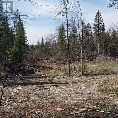 00 BASS LAKE ROAD N — Trent Lakes, Ontario - Photo 3 of 5