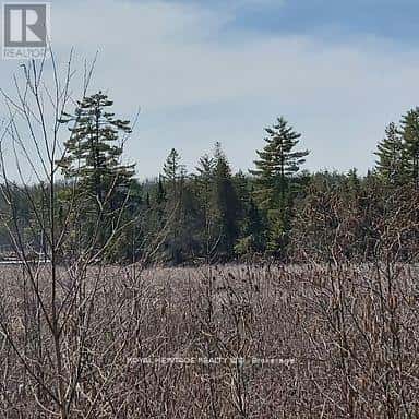 00 BASS LAKE ROAD N — Trent Lakes, Ontario - Photo 2 of 5