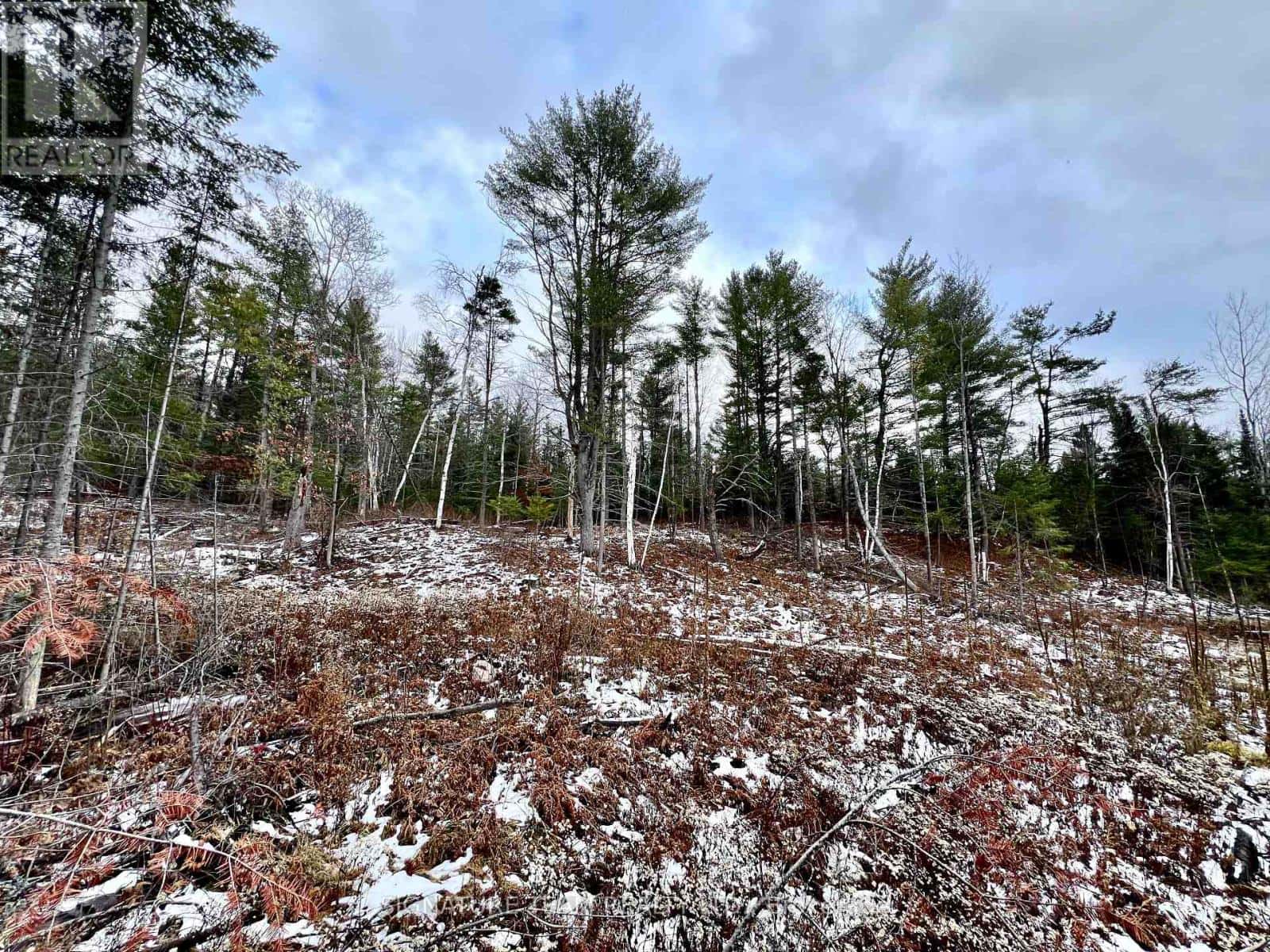 744 BLACK CREEK ROAD — North Algona Wilberforce, Ontario - Photo 5 of 21