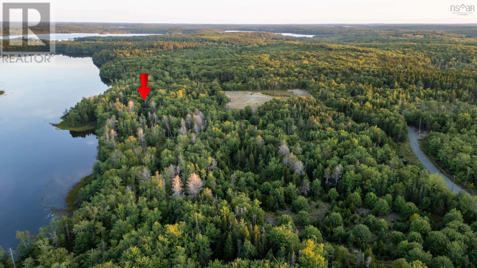 Lot 10 R & N Road — Carleton, Nova Scotia - Photo 4 of 6